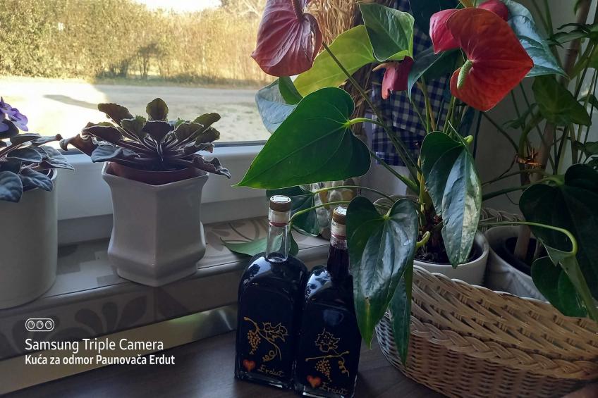 Holiday Home Paunovaca - Two Bedroom Holiday Home - foto 12