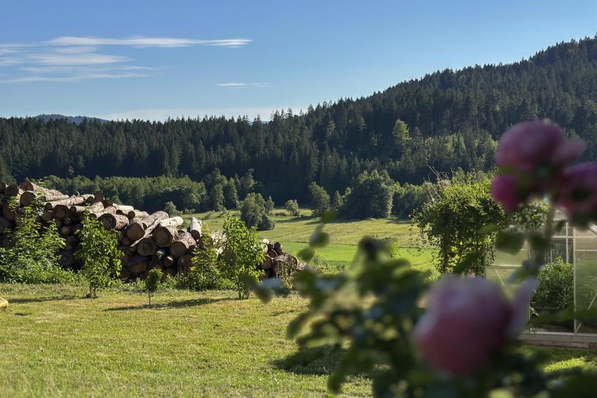 Im Zellertal - foto 36