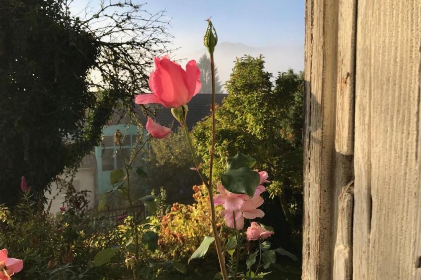 Altes Schulhaus - foto 35