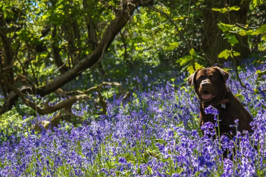 Anwesen mit Pool - foto 32