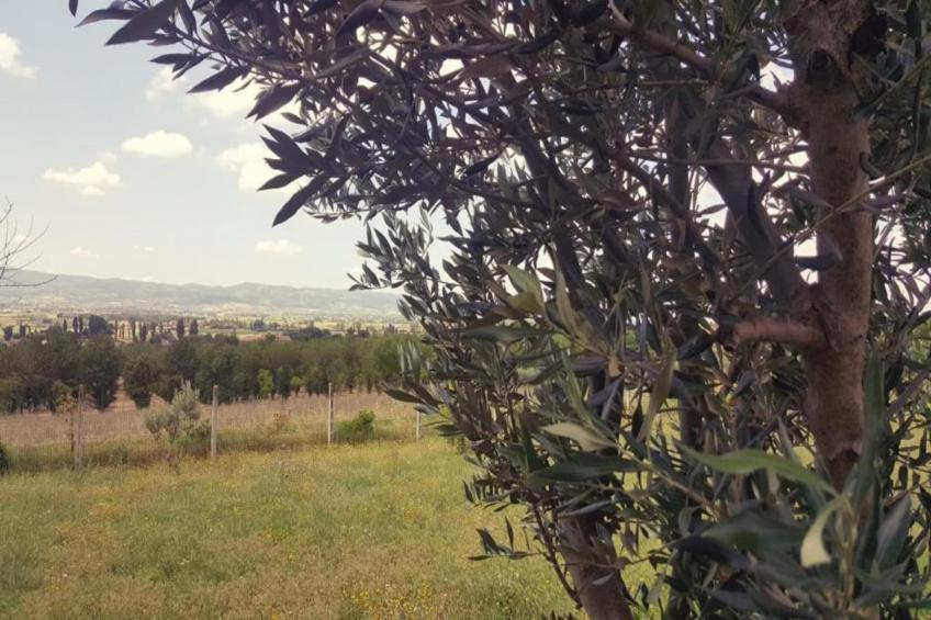 Mobil Home Luxe - foto 26