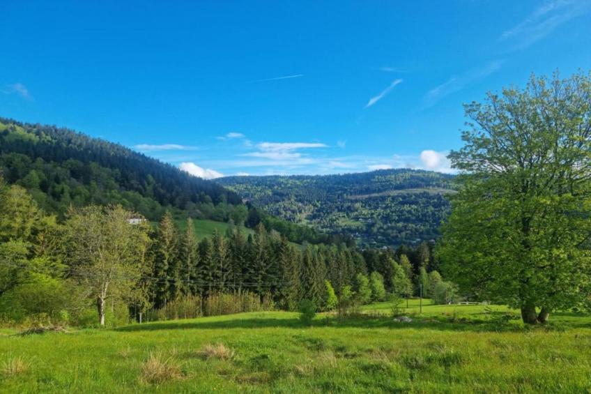 A l'Orée des Bois - foto 36