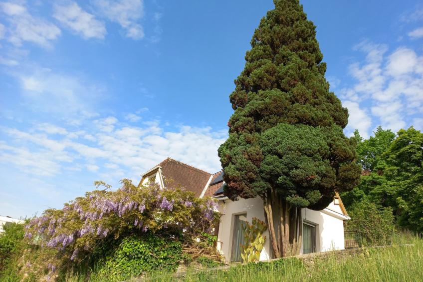 Villa Nonna - foto 12