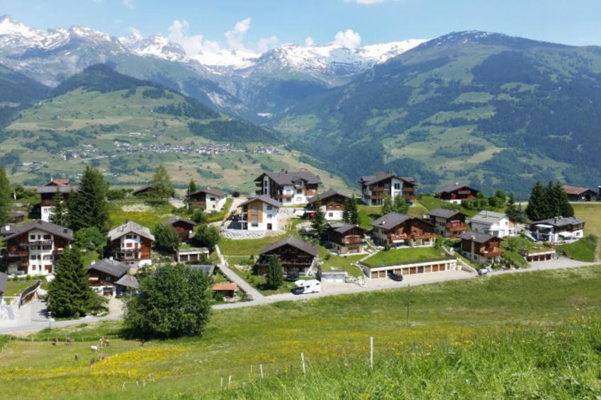 Schweizer, Obersaxen-Affeier, (Obersaxen), 34006B - foto 9
