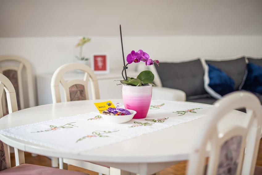 Mountain View Haven Apartments - One Bedroom Apartment  with Balcony - foto 6