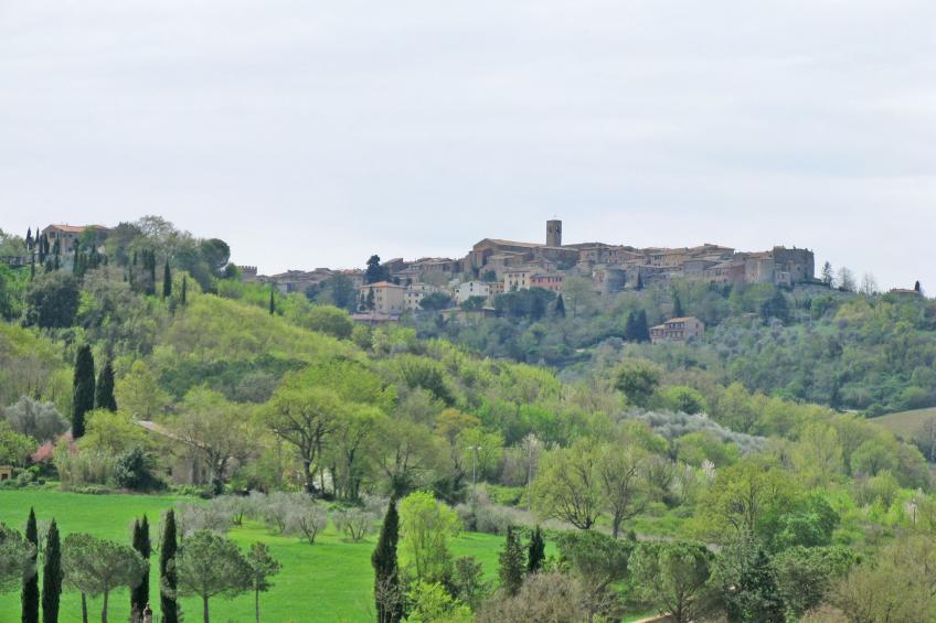 Wohnung Monteriggioni - foto 29