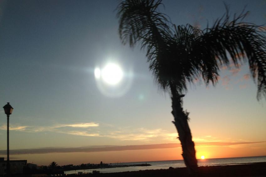 "Jandia" mit Wasserblick - foto 39