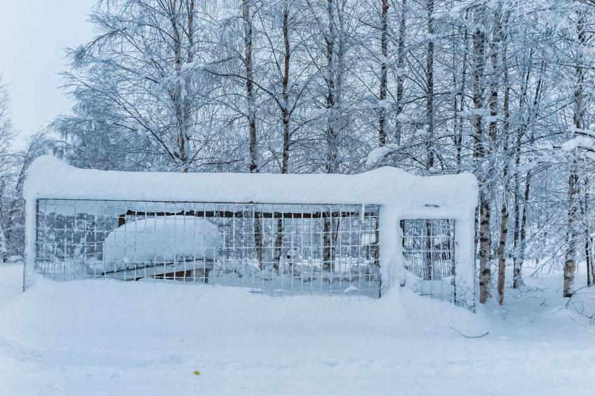 Keskiniemi - foto 12