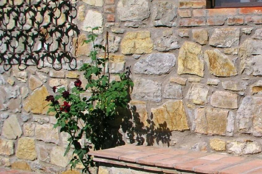 mit großer eigener Laube und Holzofen - foto 3