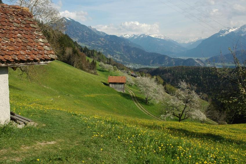 Dünser in Dünserberg - foto 19