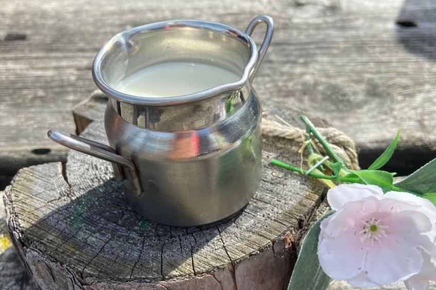 Haus Rosenwirth - foto 20