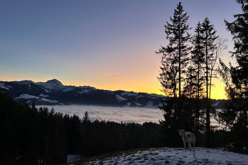 Sonnige Maisonette - foto 30