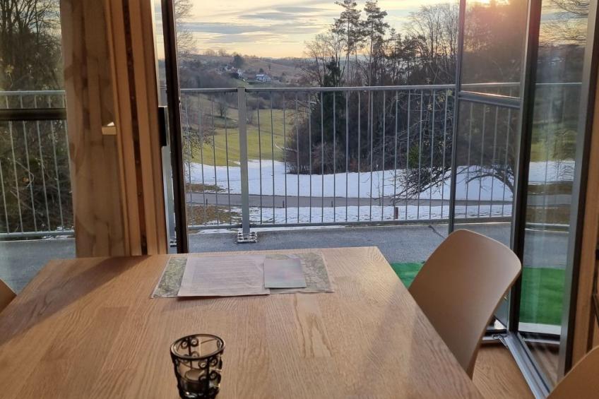 Appartement Apollo in der Wohlfühloase am Trausdorfberg mit Sauna Whirlpoolnutz - foto 3