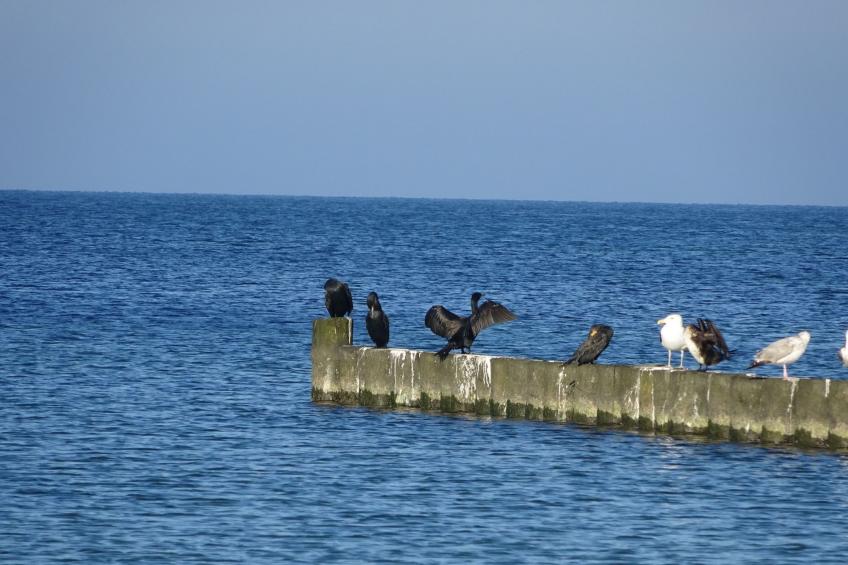 Sweet Home - foto 24