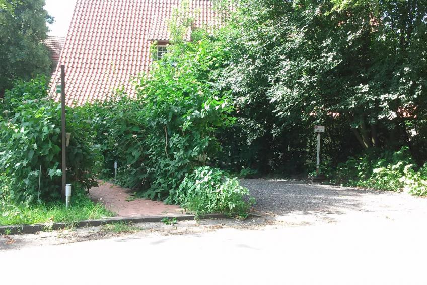 An der Königstrasse - foto 12