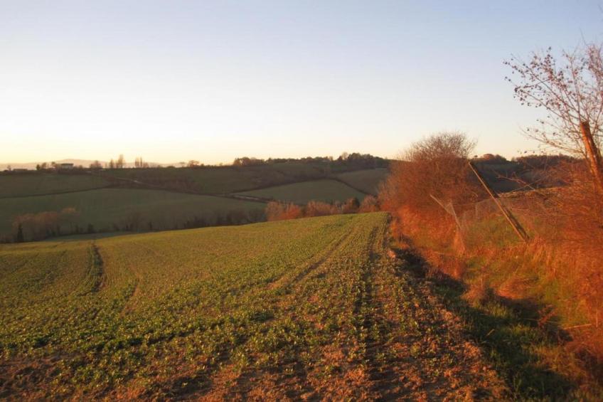 Villa Monte Acuto - foto 31