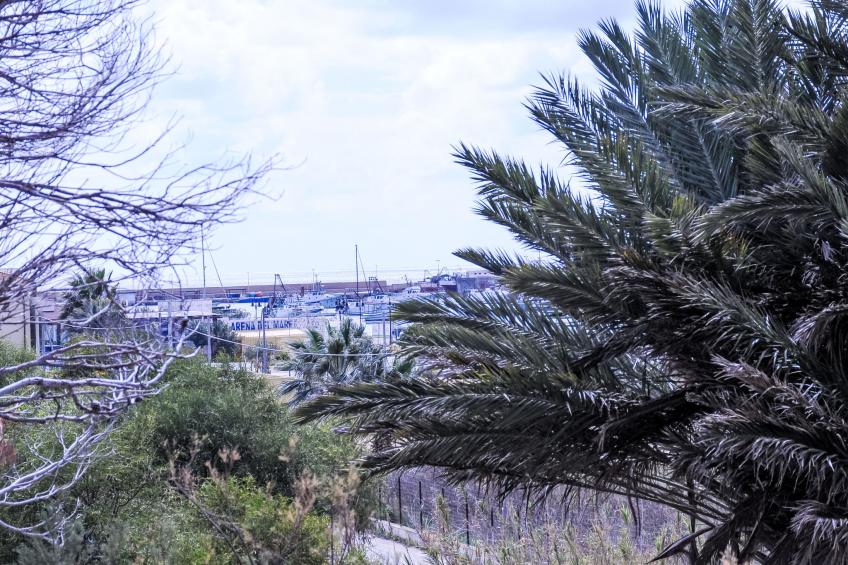 Bed and Breakfast La Fenice - foto 6