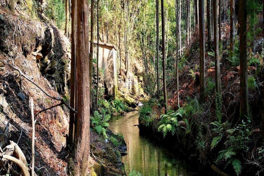 Landhaus in idyllischer Lage - foto 16