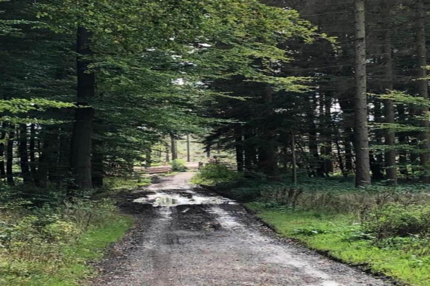 Ferienwohnung Happe - foto 24