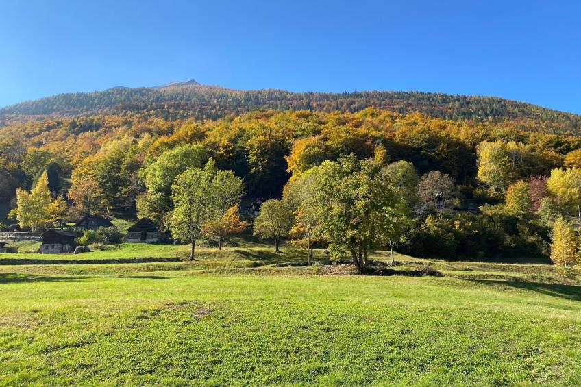 Rustico Monti di Rima - foto 13