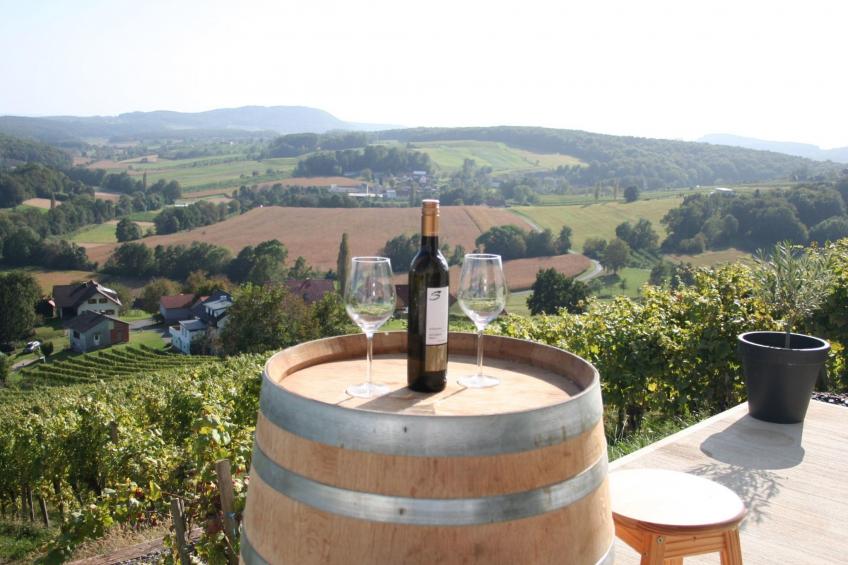 Rebenchalet - foto 33