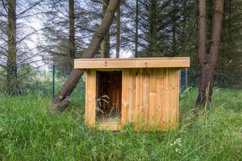 "Marlise" - 2.5km from the sea - foto 7