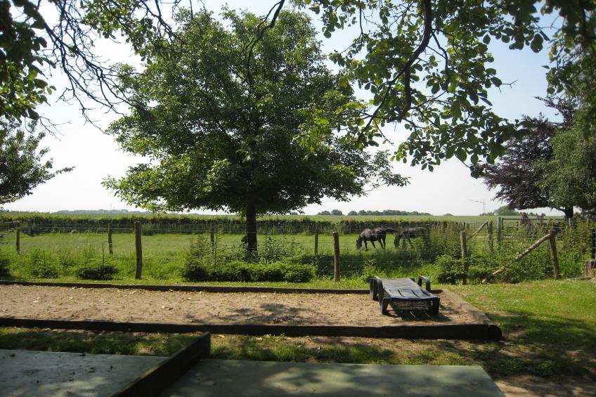 Meschermolen - foto 29