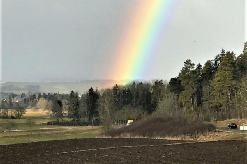 Haus Ketterer - foto 21