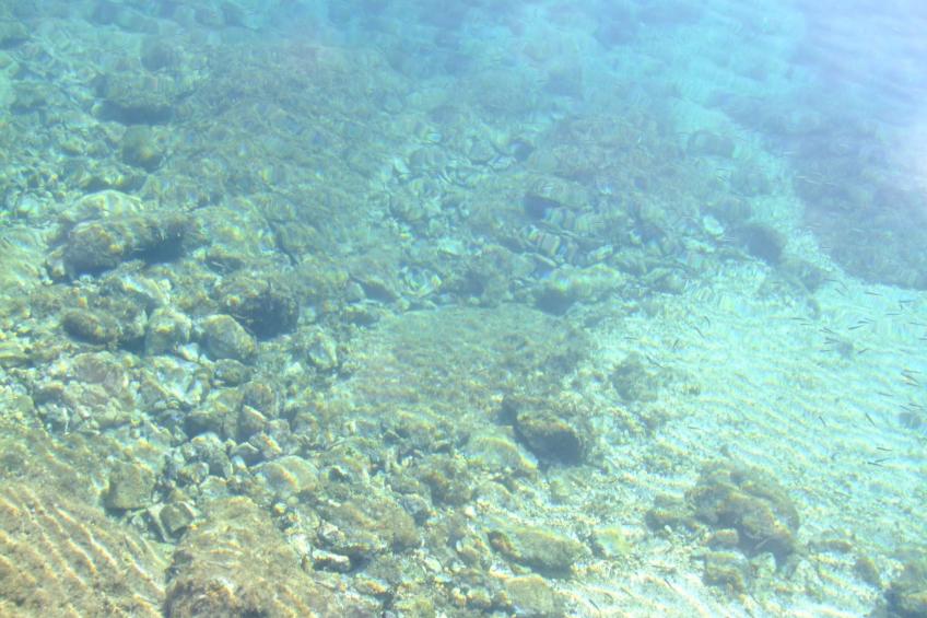 mit Pool in Lukovo Sugarje - foto 8