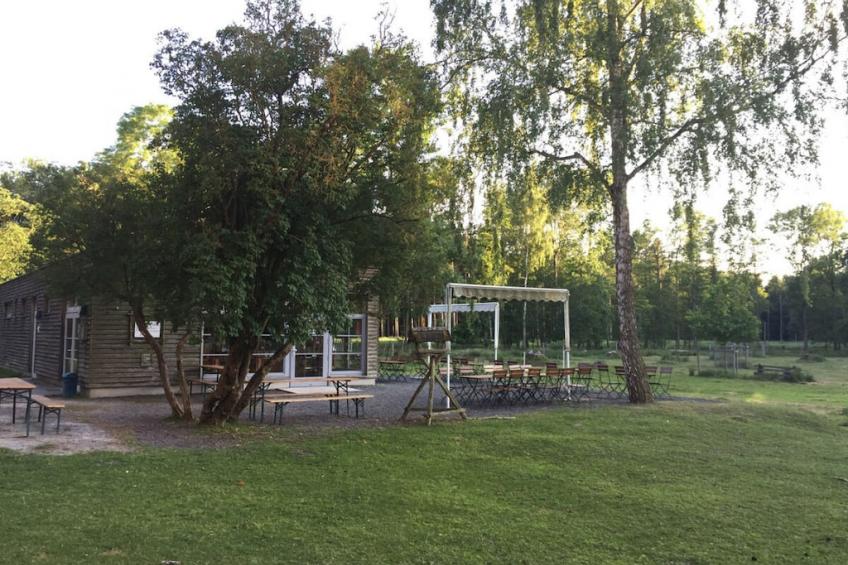 798064 - foto 16