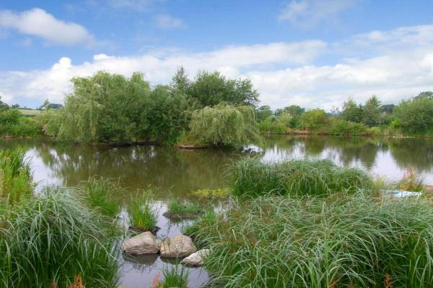 Netley Hall - Rose - foto 30