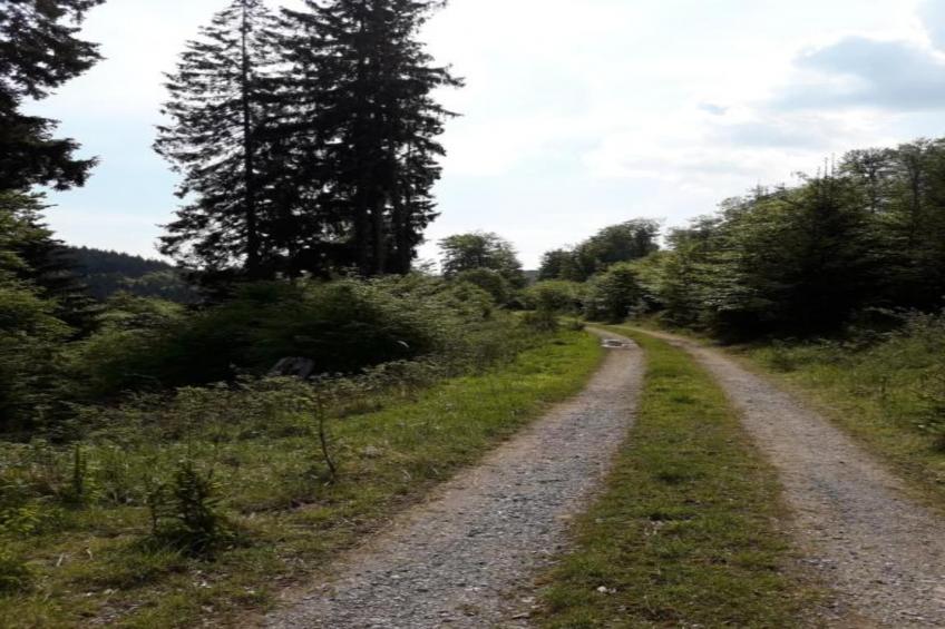 Im Ries III - foto 30