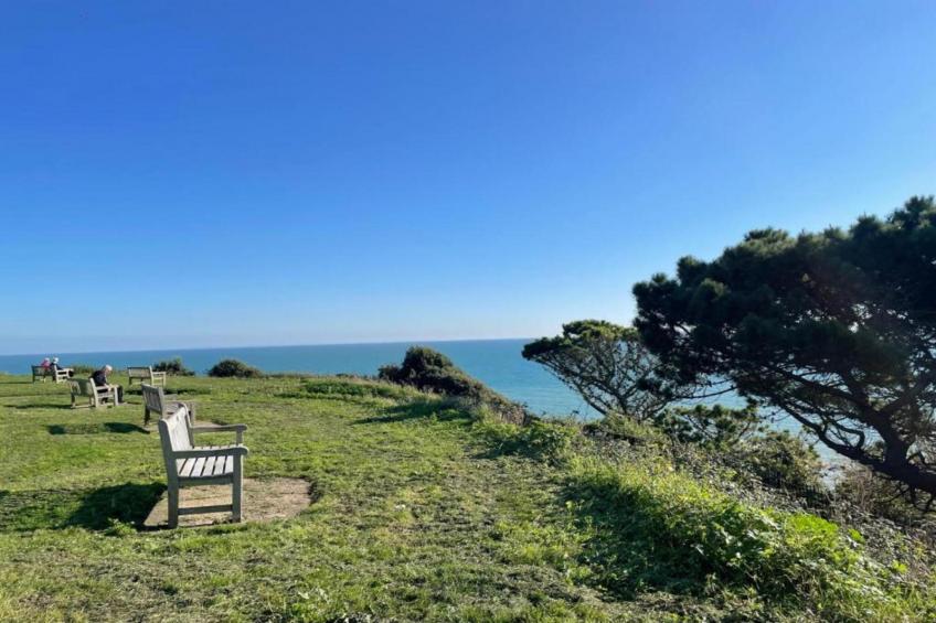 Golden Swan House - foto 25