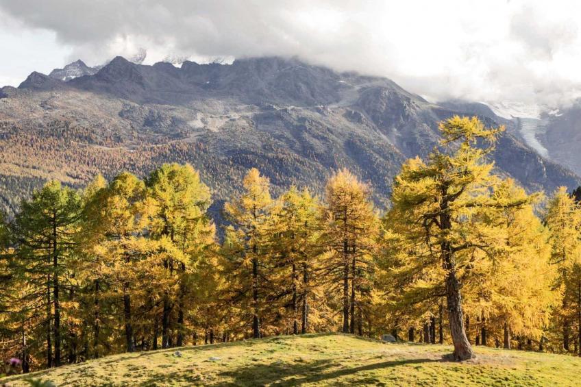 Chalet 1679 - foto 30