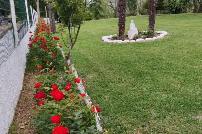 'Dear Peace on the Hill - foto 7