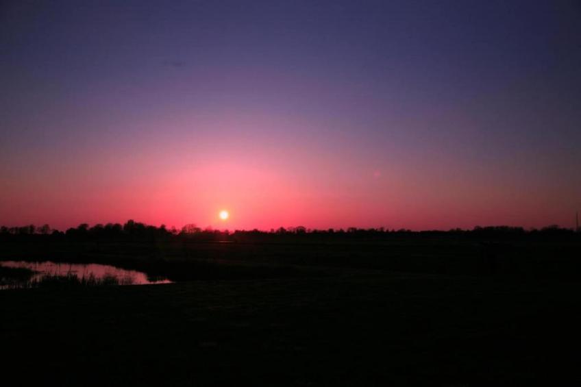 Vakantiepark Giethoorn - Stern 6-pers - foto 36