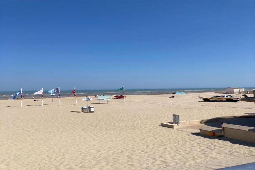 Dynastie - 0203 - foto 32