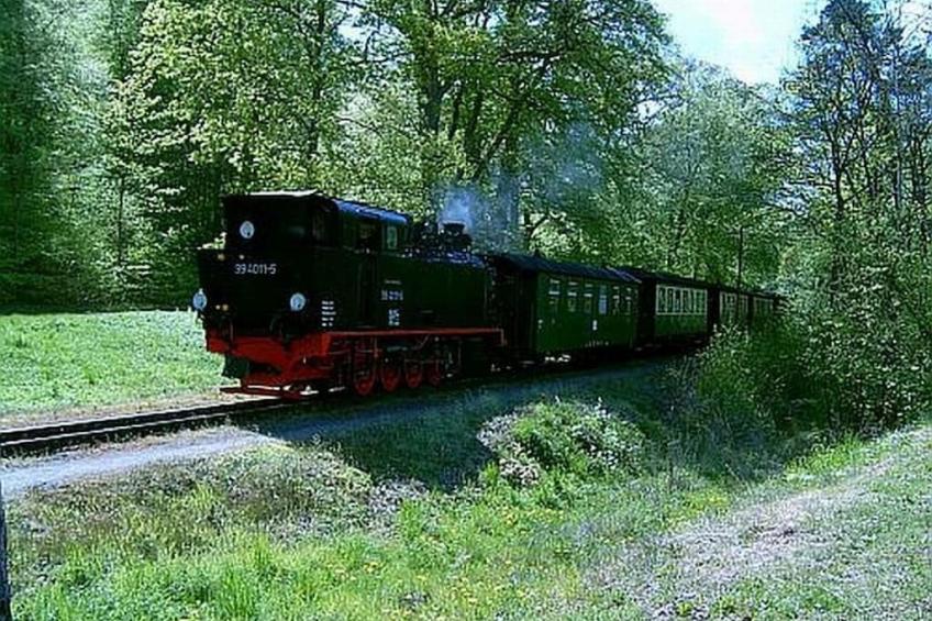 229541 - foto 18