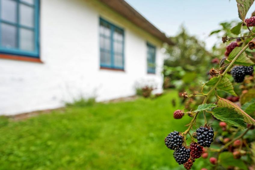 "Clausina" - 600m from the sea in Western Jutland - foto 8