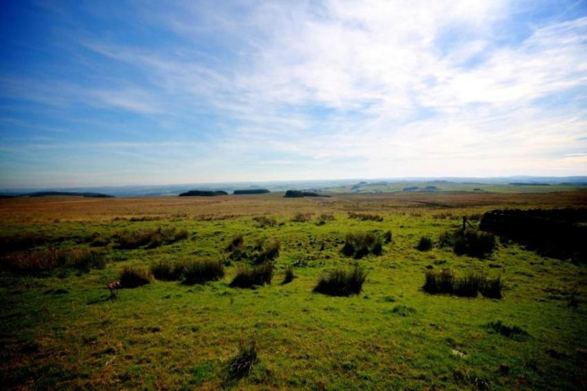 Humbleton Glamping - foto 17