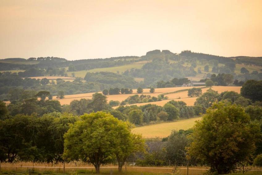 The Wonney's Glamping - foto 31