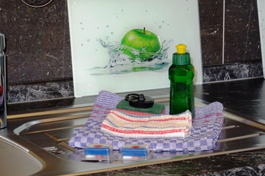 Appartement in Lockwitz mit Garten - foto 4