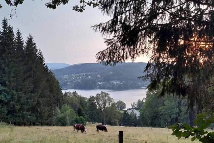 185256 - foto 23