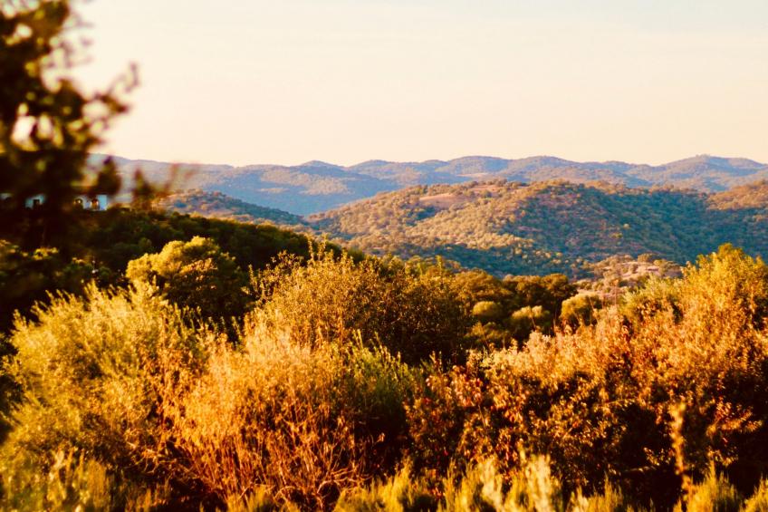 in Almodóvar Del Río mit Privatem Pool und Panoramablick - foto 10