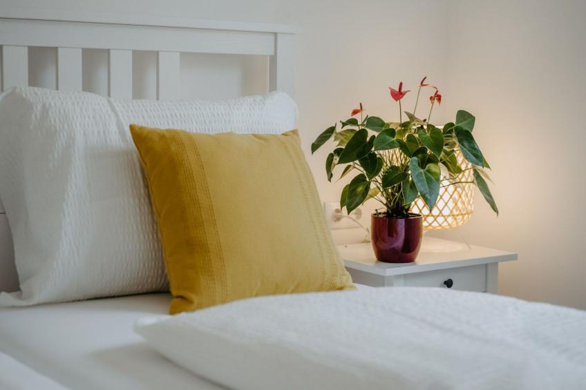 Lakeside Top2 - foto 7