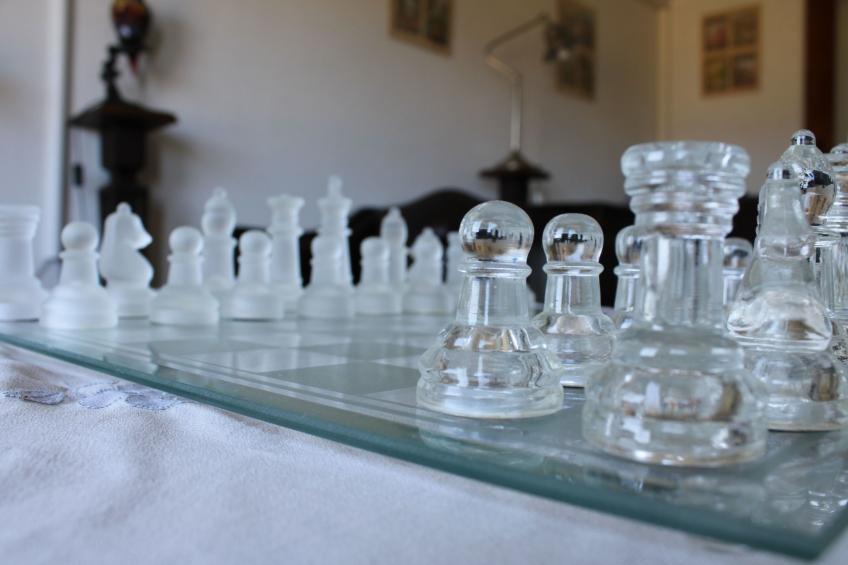 Flache Kornblume - foto 40