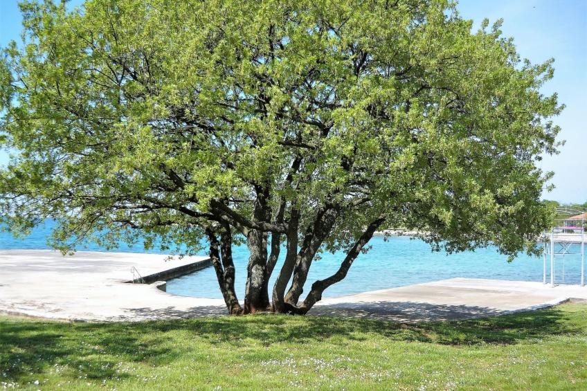 Appartement Irè 4 Persone - foto 26