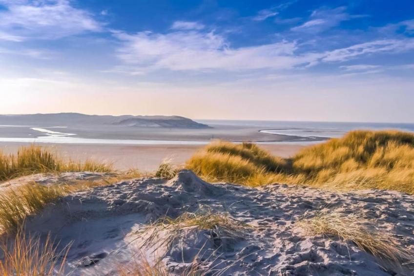 Residentie Californië - foto 21