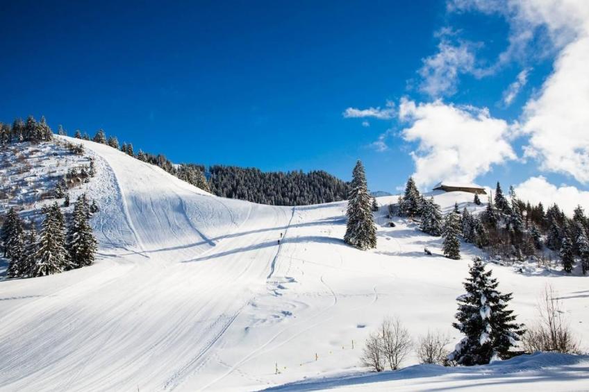 Maiensäss Romantica - foto 21