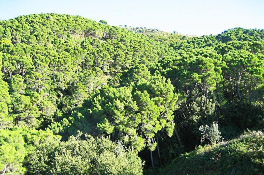 Schöne Ferienwohnug - foto 29